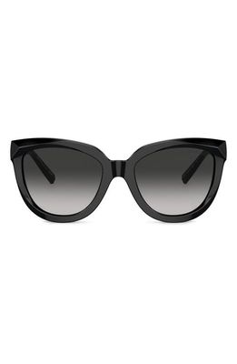 Tiffany & Co. 53mm Gradient Cat Eye Sunglasses in Black