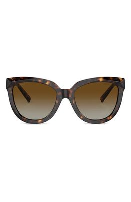 Tiffany & Co. 53mm Gradient Polarized Cat Eye Sunglasses in Havana 