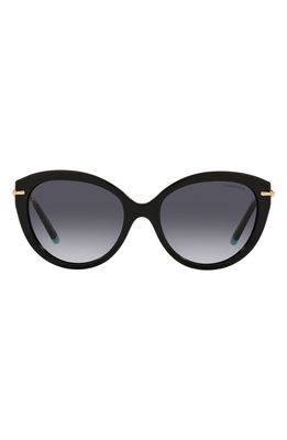 Tiffany & Co. 55mm Cat Eye Sunglasses in Black/Grey Gradient