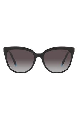Tiffany & Co. 55mm Gradient Cat Eye Sunglasses in Black/Grey Gradient