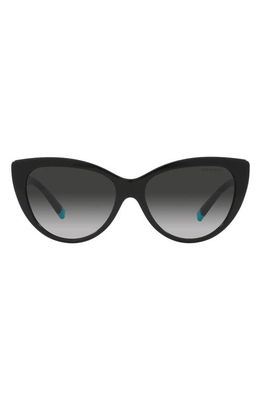 Tiffany & Co. 56mm Gradient Cat Eye Sunglasses in Black