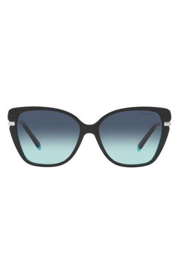 Tiffany & Co. 57mm Gradient Cat Eye Sunglasses in Black Blue