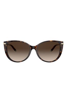 Tiffany & Co. 57mm Gradient Cat Eye Sunglasses in Dark Havana