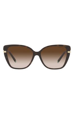 Tiffany & Co. 57mm Gradient Cat Eye Sunglasses in Havana