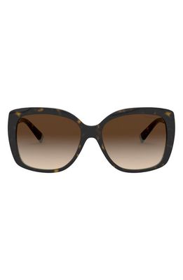 Tiffany & Co. 57mm Gradient Square Sunglasses in Blue Havana