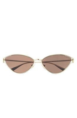 Tiffany & Co. 61mm Cat Eye Sunglasses in Lite Brown