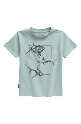 TINY TRIBE Kids' Shark Graphic T-Shirt in Chalk Blue