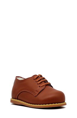 TIPPY TOTS SHOES Oxford Shoe in Tan