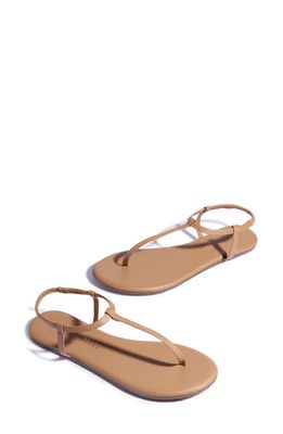 TKEES Mariana Sandal in Coco Butter