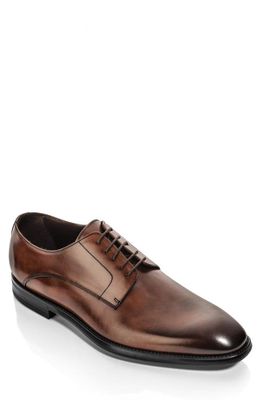 To Boot New York Amedeo Derby in Crust Marrone Ant.