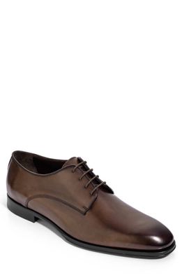 TO BOOT NEW YORK Blakeley Plain Toe Derby in Brown 