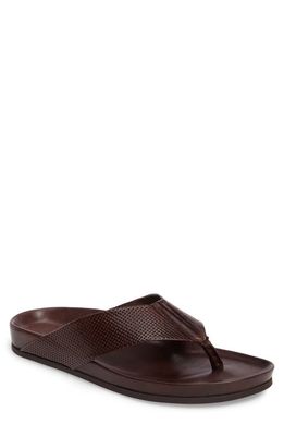 To Boot New York Browne Flip Flop in Brown Leather