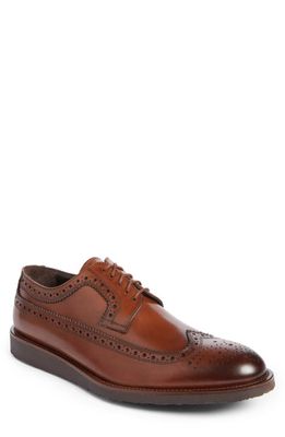 To Boot New York Hillsdale Longwing Derby in Tan 38 Ant