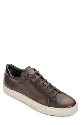 TO BOOT NEW YORK Pescara Sneaker in Dark Brown 