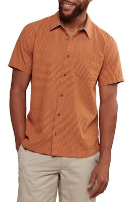 Toad & Co Harris Stripe Short Sleeve Organic Cotton Button-Up Shirt in Hazel