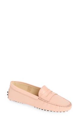 Tod's Gommini Driving Penny Loafer in Coral Cloud