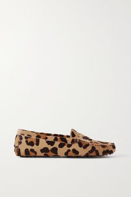 Tod's - Gommini Leopard-print Calf Hair Loafers - Animal print