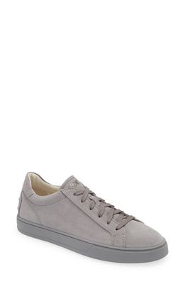 Tod's Low Top Sneaker in Grigio Mouse