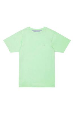 Tom & Teddy Kids' Solid Cotton T-Shirt in Pistachio