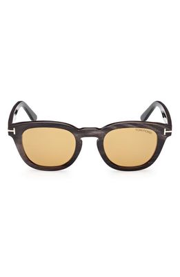 TOM FORD 48mm Polarized Square Sunglasses in Black Horn /Brown