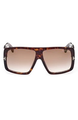 TOM FORD 60mm Square Sunglasses in Dark Havana /Gradient Brown
