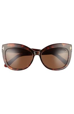 TOM FORD Alistair 56mm Gradient Sunglasses in Red Havana /Brown Polarized