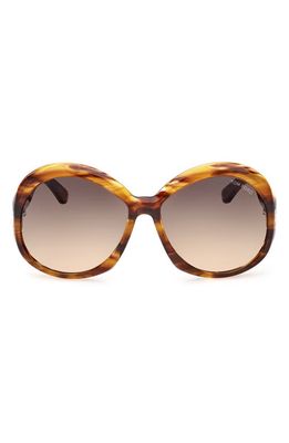 TOM FORD Annabelle 62mm Gradient Oversize Round Sunglasses in Coloured Havana/Smoke Yellow