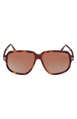 TOM FORD Anton 59mm Square Sunglasses in Shiny Blonde Havana /Brown