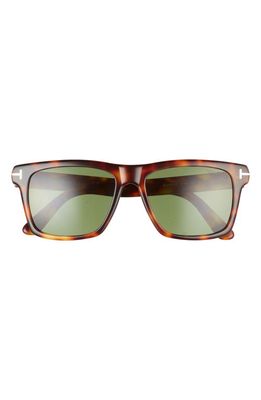 TOM FORD Buckley-02 56mm Square Sunglasses in Havana/Green