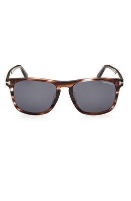 TOM FORD Gerard 56mm Square Sunglasses in Havana/Other /Smoke
