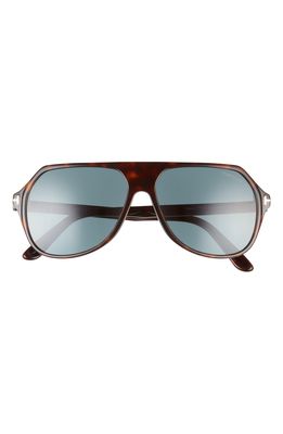 Tom Ford Hayes 59mm Navigator Sunglasses in Dark Havana /Blue