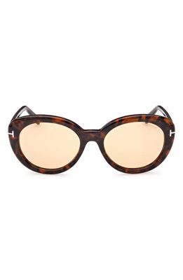 TOM FORD Lily-02 55mm Tinted Cat Eye Sunglasses in Dark Havana /Brown