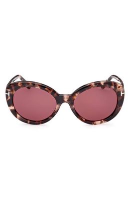 TOM FORD Lily 55mm Cat Eye Sunglasses in Pink Havana /Bordeaux