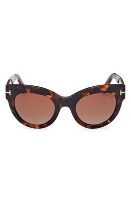 TOM FORD Lucilla 51mm Gradient Cat Eye Sunglasses in Shiny Dark Havana/bordeaux