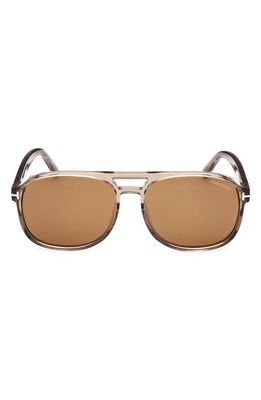TOM FORD Rosco 58mm Navigator Sunglasses in Shiny Light Brown /Brown