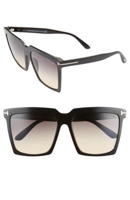 Tom Ford Sabrina 58mm Square Sunglasses in Shiny Black/Smoke Gradient