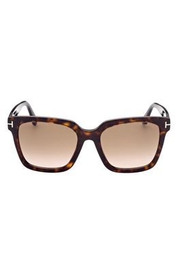 TOM FORD Selby 55mm Square Sunglasses in Havana Brown