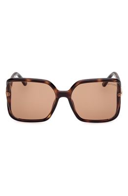 TOM FORD Solange-02 60mm Butterfly Sunglasses in Shiny Dark Havana /Brown