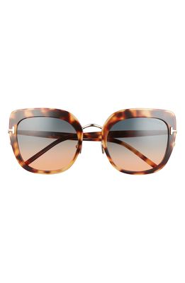 Tom Ford Virginia 55mm Gradient Square Sunglasses in Blonde Havana /Gradient Green