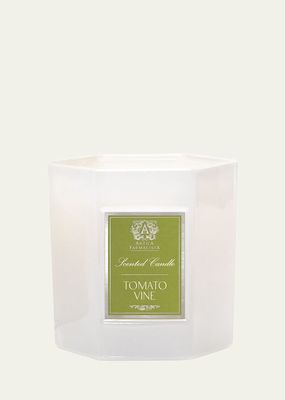 Tomato Vine Candle, 255g