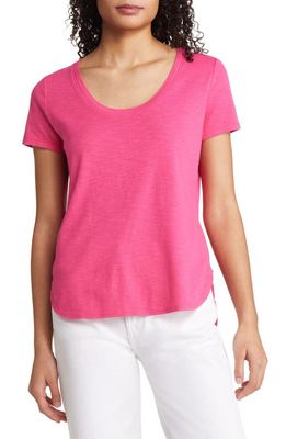 Tommy Bahama Ashby Isles Curve Hem T-Shirt in Bright Blush