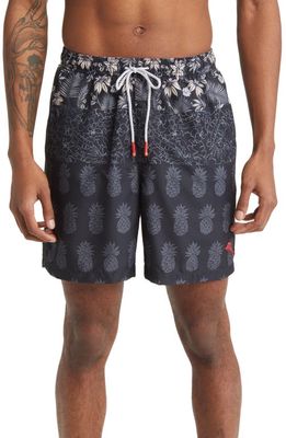 Tommy Bahama Naples Pina Collage Swim Trunks in Black