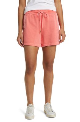 Tommy Bahama Sunray Cove Hybrid Shorts in Pure Coral