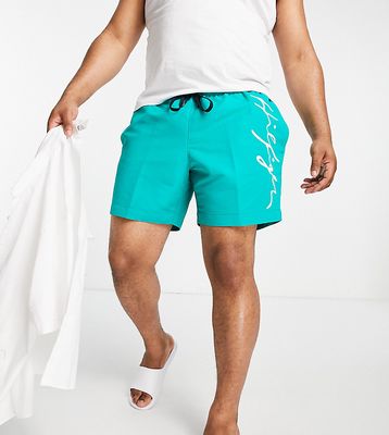 Tommy Hilfiger Big & Tall signature swim shorts in teal-Green