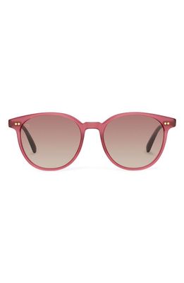 TOMS Bellini 52mm Gradient Round Sunglasses in Milky Fuchsia/Brown Gradient