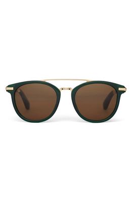 TOMS Harlan 51mm Round Sunglasses in Sea Moss/Solid Brown