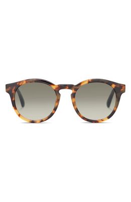 TOMS Londyn Blonde 49mm Gradient Small Round Sunglasses in Tortoise/Deep Olive Gradient