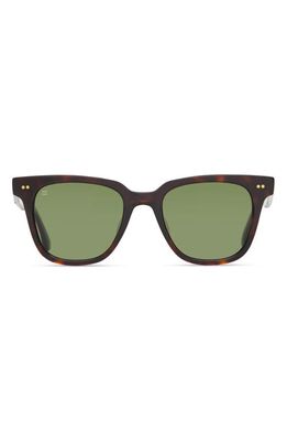 TOMS Memphis 51mm Polarized Square Sunglasses in Tortoise/Bottle Green Polar