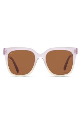 TOMS Natasha 53mm Polarized Square Sunglasses in Orchid Light /Brown