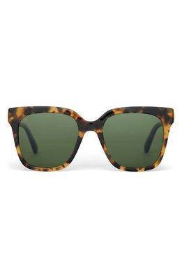 TOMS Natasha 53mm Polarized Square Sunglasses in Tortoise/Bottle Green Polar